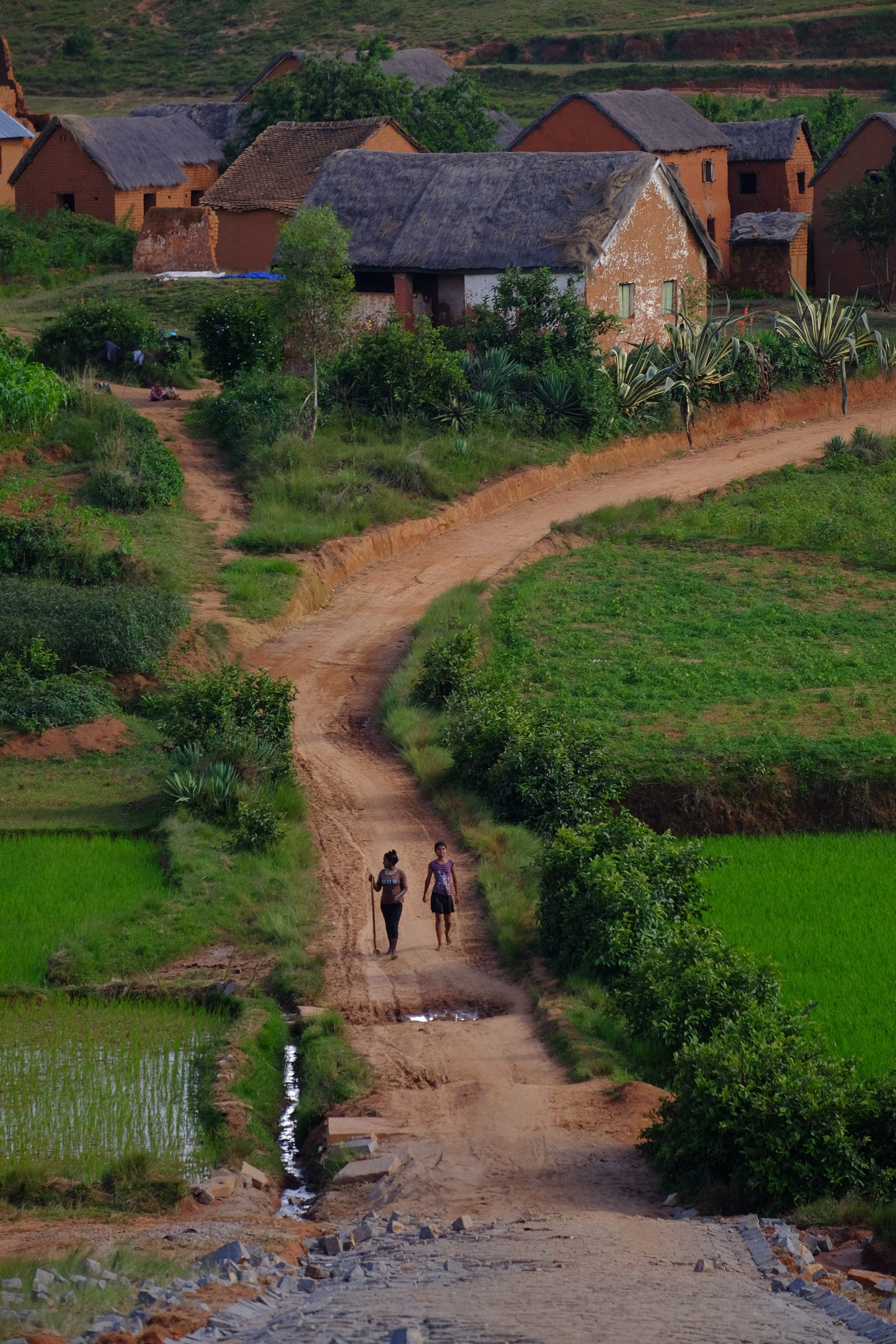 Madagascar, image 6