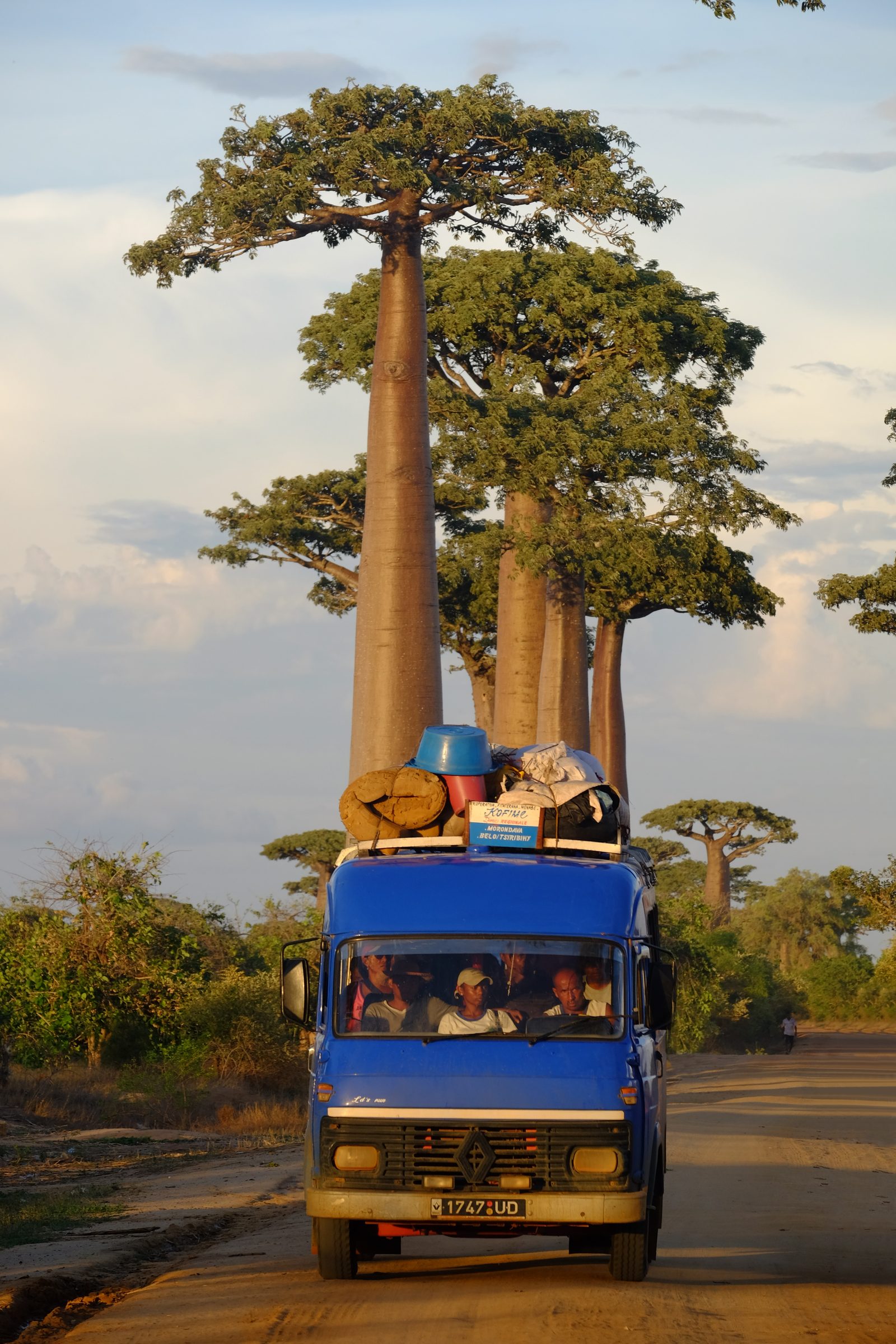 Madagascar, image 25