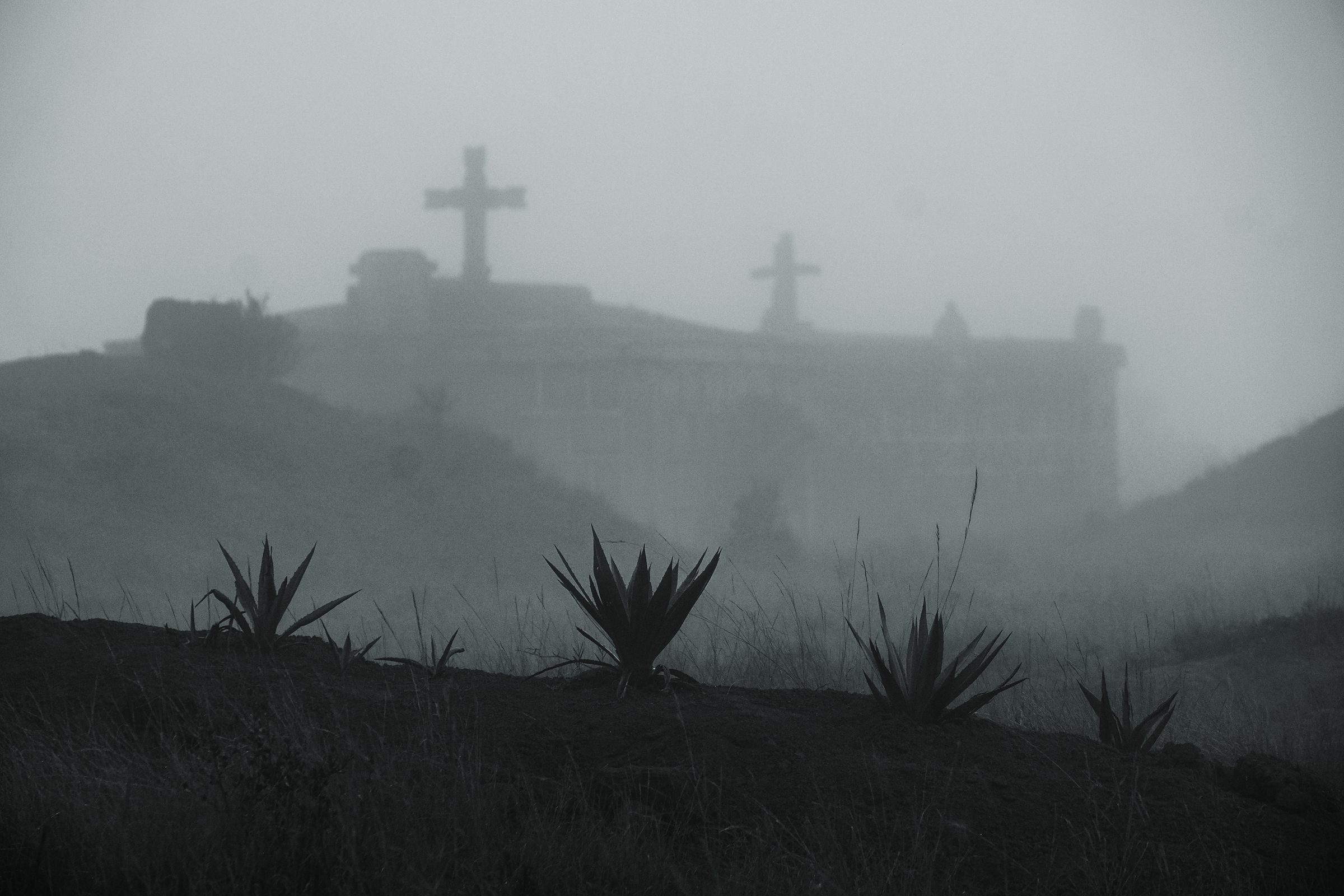 Madagascar, image 32