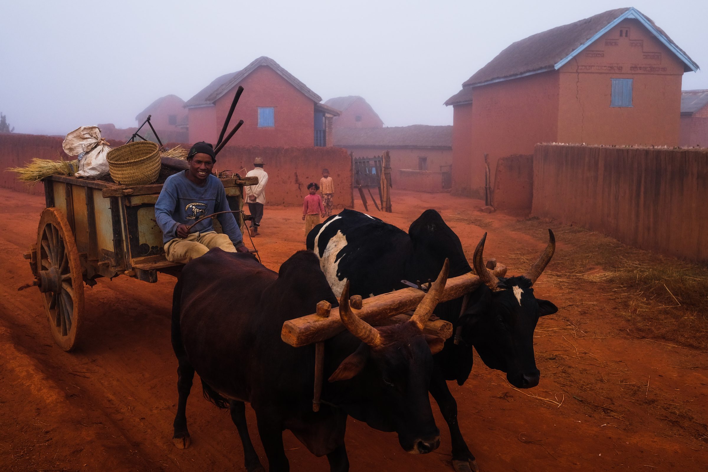 Madagascar, image 49